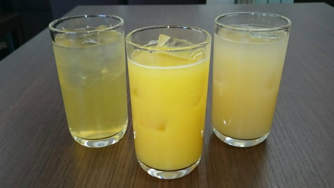 果汁１００％ジュース アップル/オレンジ/グレープフルーツ
